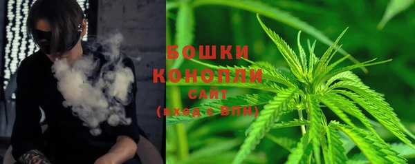 шишки Лихославль