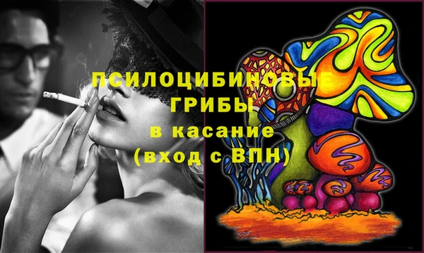 шишки Лихославль