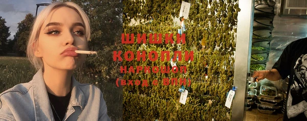 ГАЛЛЮЦИНОГЕННЫЕ ГРИБЫ Лиски