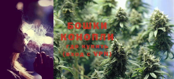 шишки Лихославль