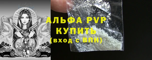 шишки Магадан