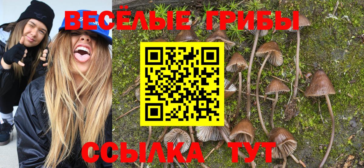 Галлюциногенные грибы Cubensis  Галлюциногенные грибы Cubensis  Вход с VPN  Феодосия 